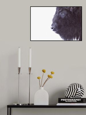 Black Buffalo Portrait