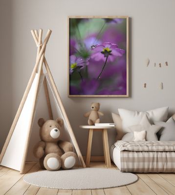 In pink surroundings