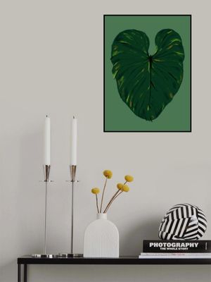 Philodendron Gloriosum Green