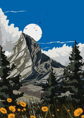 Mountain Wildflower Meadow