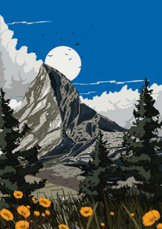 Mountain Wildflower Meadow