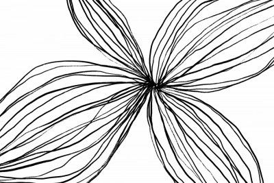 Elegant Black and White Petals