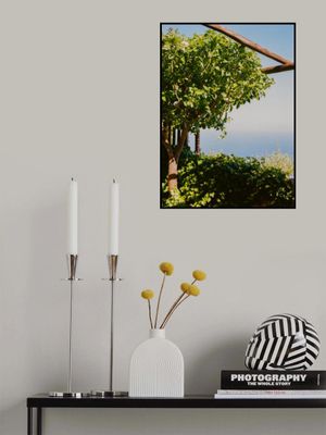 Amalfi Coast Lemons V on Film