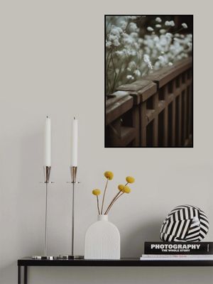 Whispers of Serenity