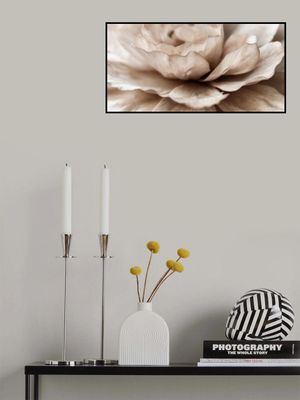 Delicate Petal Dance