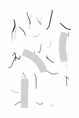 Fluid Black Lines And Soft Grey Shapes