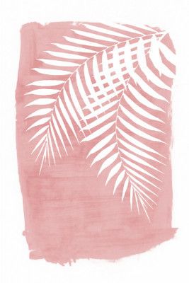 Pink Palm Leaves Foliage Silhouette