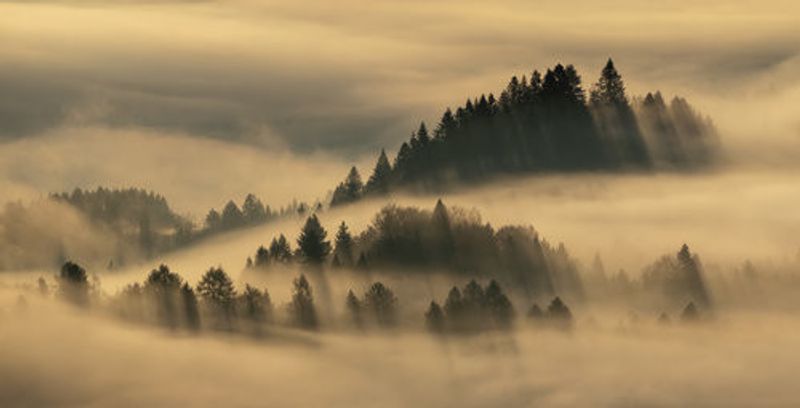Pieniny foggy