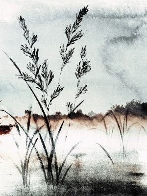 Misty Morning Reeds