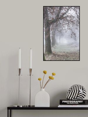 Foggy Winter Morning 3