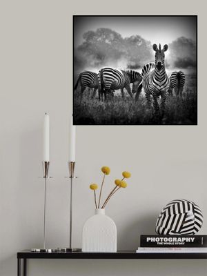 Stallion in a Pin Stripe Suit