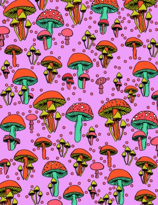 Mushrooms Vibrant Colours