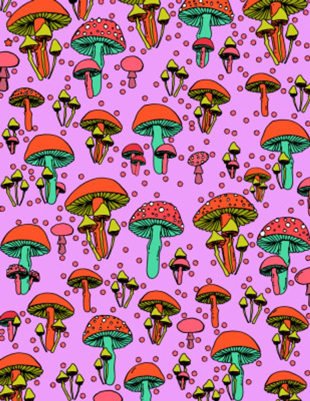 Mushrooms Vibrant Colours