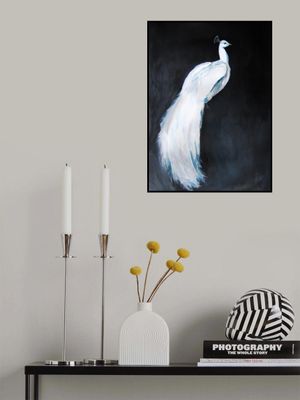 Whitepeacock2 Reverse