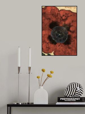 Artur Nikodem Poppy Flower