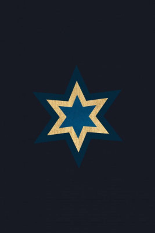 A Shooting Star At Night