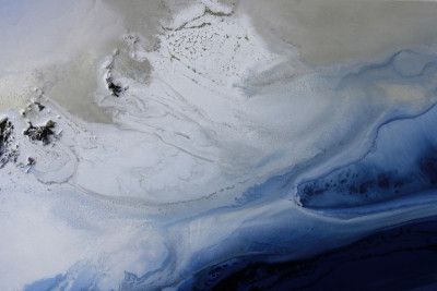 Marine Majesty 3 Tifupscaled Cgi 13287w Copy 2