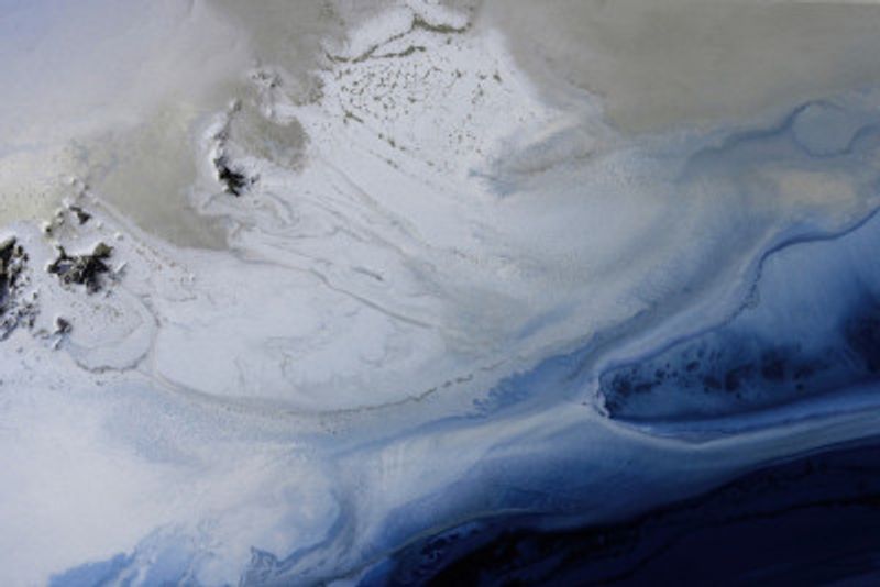 Marine Majesty 3 Tifupscaled Cgi 13287w Copy 2