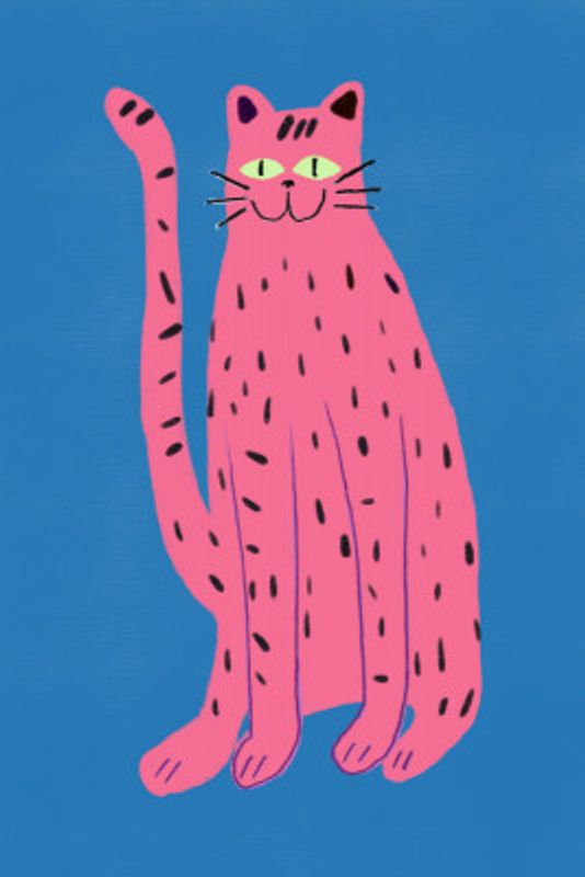 portrays a playful Pink cat