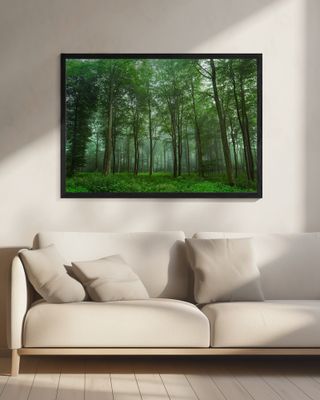 Forest View