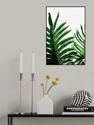 Green Monstera Leaves