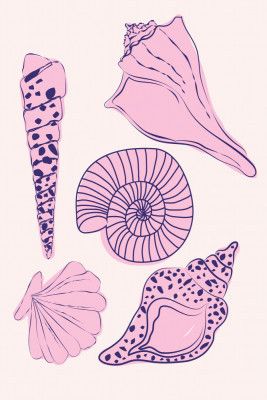 Pastelseashells
