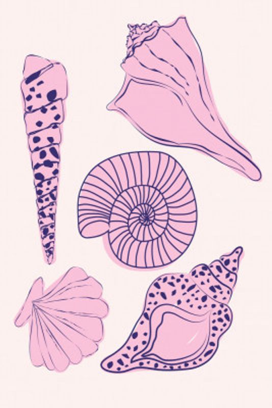 Pastelseashells