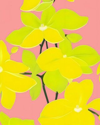 Where Sunshine Blooms Louder Than Words: Mokara Orchid