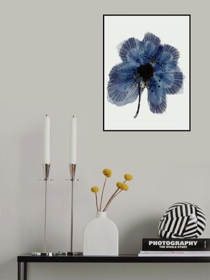 Blue Flower 2