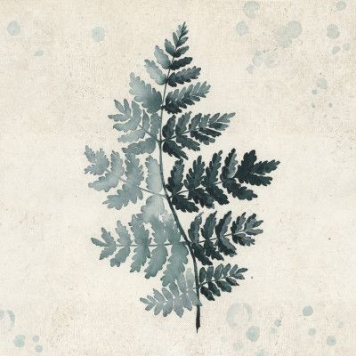 Teal watercolor fern 2