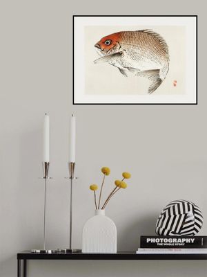 Tai (red Seabream) Fish