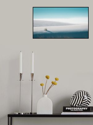 Growing in White Sands