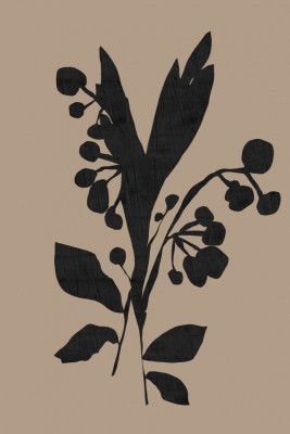 Black Floral Buds Modern Botanical Silhouette