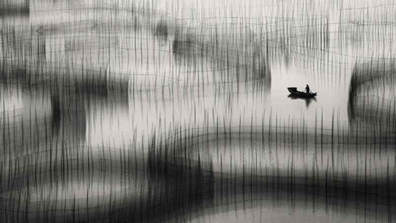 Livelihood Circles ...