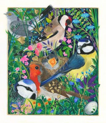 The Birds around the Nest