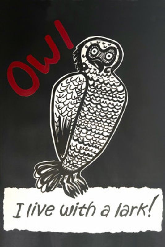 Owl Black
