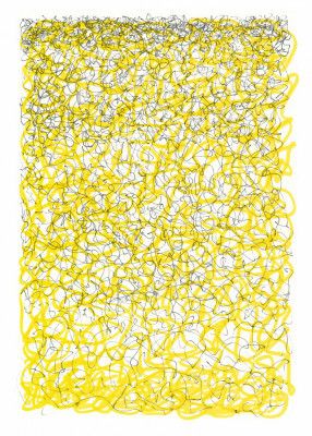 Yellow Lines and Thoughts