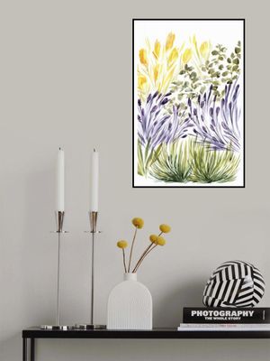 Elisa's garden right