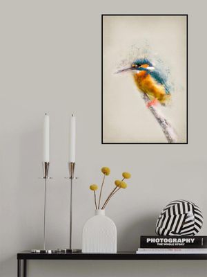 Colorful Kingfisher Bird