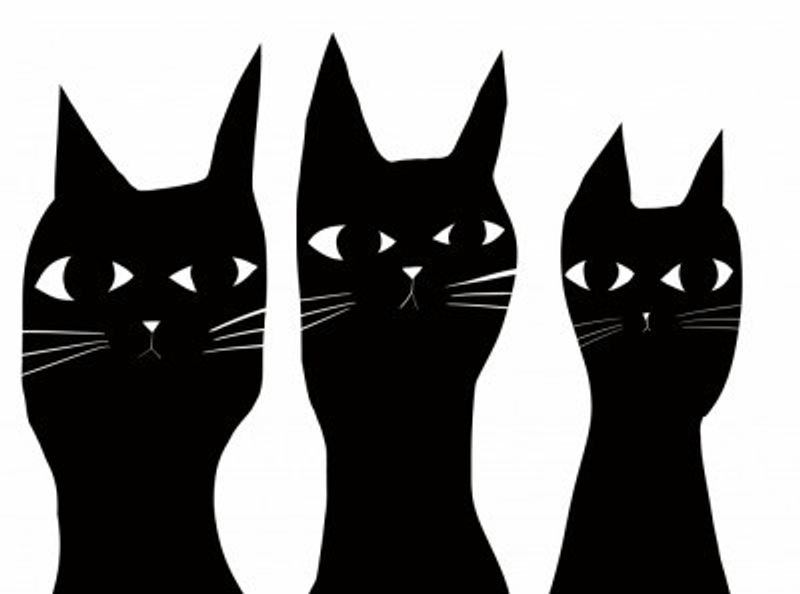 Three black cats peeking cat