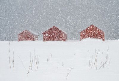 Red boat houses in the snow