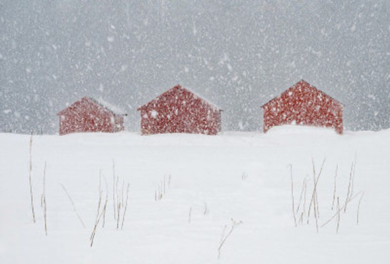 Red boat houses in the snow