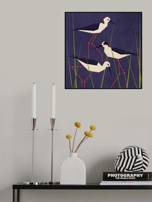 Bird Series   Geometry Stilt