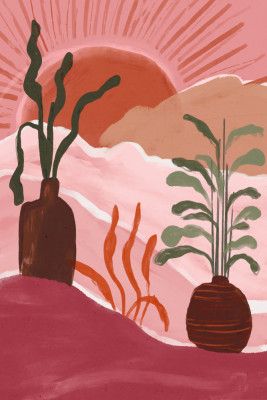 Desert Sunrise Blooms