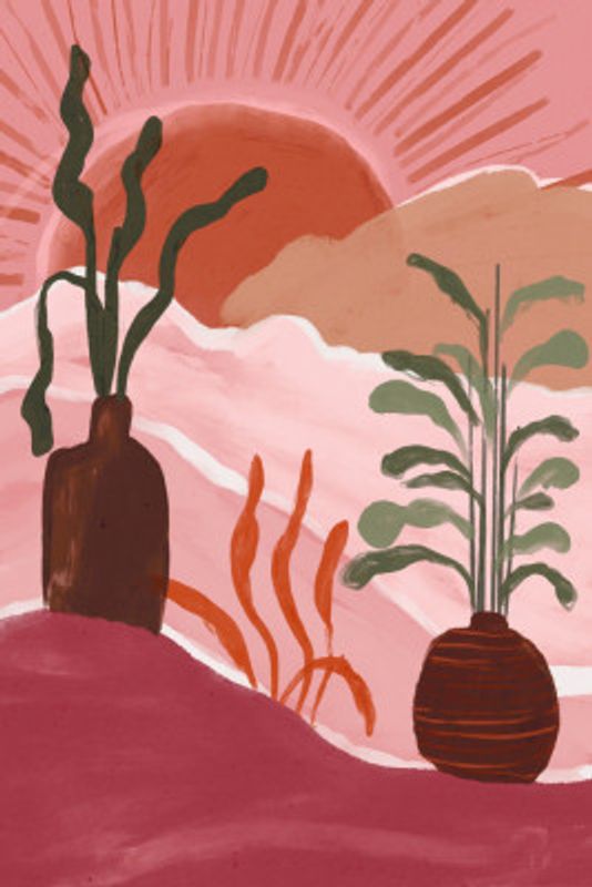 Desert Sunrise Blooms