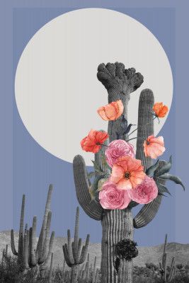 The Retro Desert Landscapes