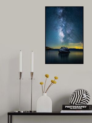 Bonsai Rock Milky Way