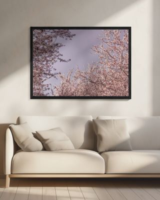 Soft Pink Blossoms