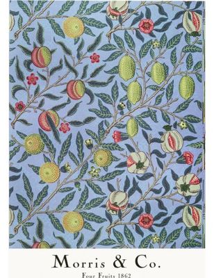 Four Fruits - William Morris