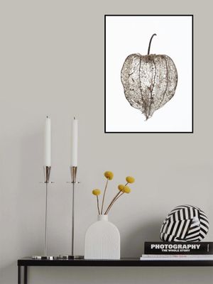 Fragile Nature's Veil